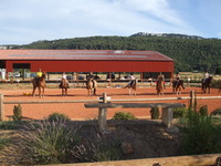 PONEY-CLUB DE CUGES LES PINS