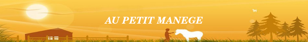 AU PETIT MANEGE